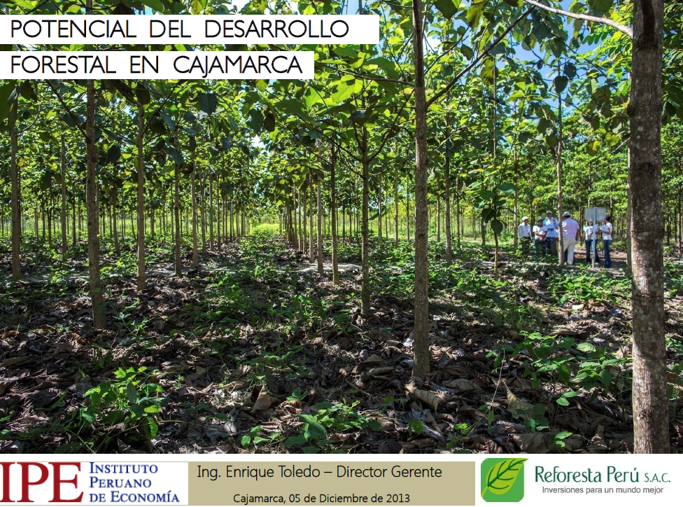 Potencial del desarrollo forestal de Cajamarca - Enrique Toledo